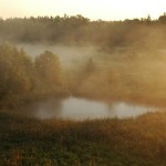 bialowieza, a delicious place to photograph sunrises