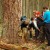 Lectures for students in Bialowieza Primaeval Forest